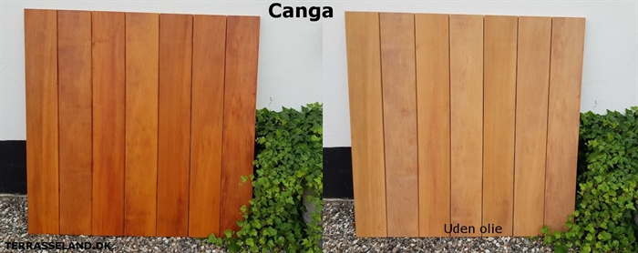 20180809 Canga Terrasseplanker 21x145mm