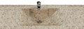 Terrazzo vask 510 x 290 mm, dybde 111mm